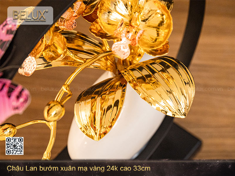 Chậu Lan Bướm Mạ Vàng